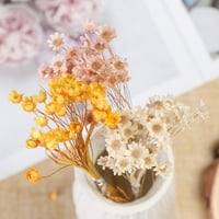 Wirlsweal sušeni buket ukrasni diy šarene prirodne biljke sačuvaju cvjetni dekor doma
