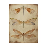 Zaštitni znak likovna umjetnost 'Dragonfly Whisper 2' platno umjetnost Jean Plout