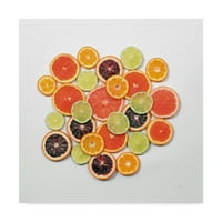 Zaštitni znak likovna umjetnost 'Sunny Citrus II Crop' Platno umjetnost Felicity Bradley