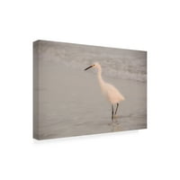 Plavi palomino 'željni egret' platnena umjetnost