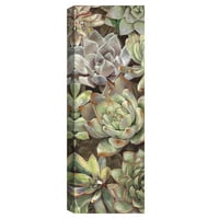 Paneli pustinjski vrt, omotani platnenim platnom, umjetnički tisak