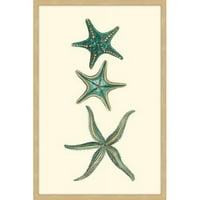 Ispis uokvirene slike Marmont Hill Starfish