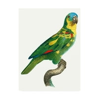 Zaštitni znak likovna umjetnost 'papiga platna Tropics II' od Barrabanda