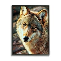 Stupell Wolf Gledanje divljih životinja Životinje portret životinje i insekti slikaju crno uokvireni umjetnički