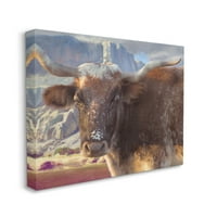 Stupell Longhorn goveda ruralne planine životinje i insekti Galerija slika omotano platno tiskanje zidne umjetnosti