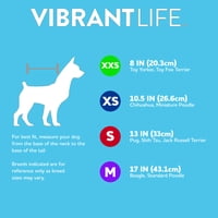 Životni život zrači pozitivnim vibracijama pseća haljina, plava, xx-mal